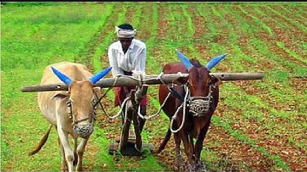 पीएम किसान सम्मान निधि योजना के लाभार्थियों के लिए बड़ी खुशखबरी..