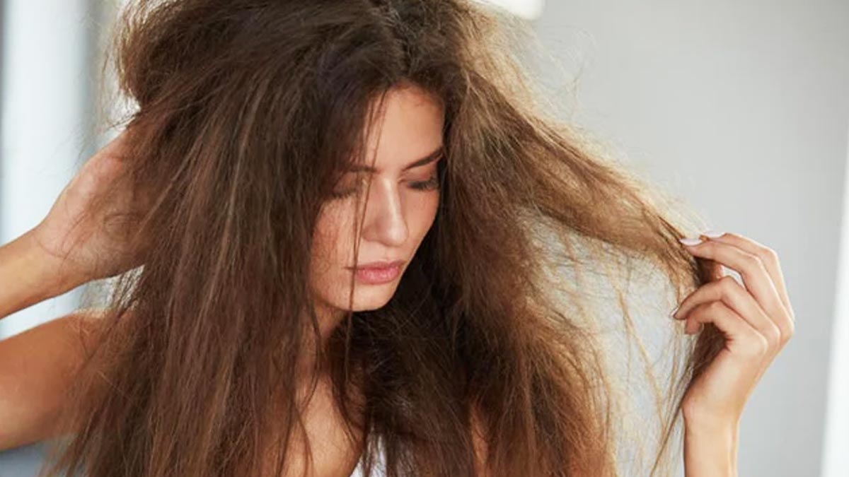 तेज धूप के कारण बालों की हालत खराब हो जाती है, यहां जानिए बालों को फिर से ठीक करने का तरीका-