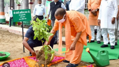 Photo of 20 जुलाई को यूपी में मनाया जाएगा ‘पेड़ लगाओ-पेड़ बचाओ जन अभियान’