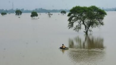 Photo of यूपी में बाढ़: हमीरपुर-जालौन के दर्जनों गांव जलमग्न, हरदोई समेत इन जिलों में बिगड़े हालात