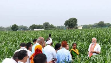 Photo of किसानों के लिए खुशखबरी: आय में होगी बढ़ोतरी, लोन लेना भी हुआ आसान