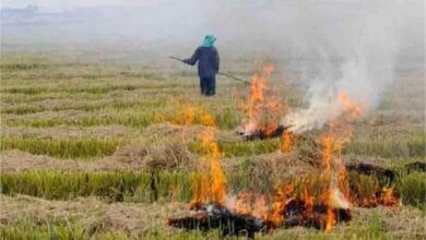 Photo of हरियाणा किसानों की बढ़ी मुश्किलें, पराली जलाने पर अब जुर्माना नहीं, सीधे दर्ज होगी FIR