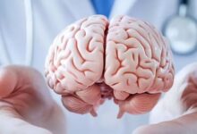 Photo of Brain Health को बेहतर बनाने के लिए फॉलो करें ये टिप्स