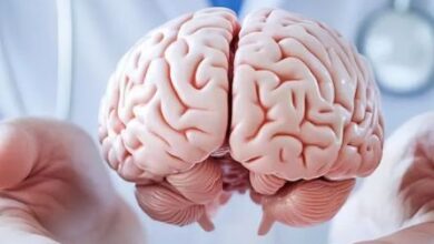 Photo of Brain Health को बेहतर बनाने के लिए फॉलो करें ये टिप्स