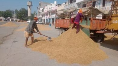 Photo of हरियाणा: राइस मिलर्स ने हड़ताल खत्म करने का किया एलान, आज से होगी खरीद