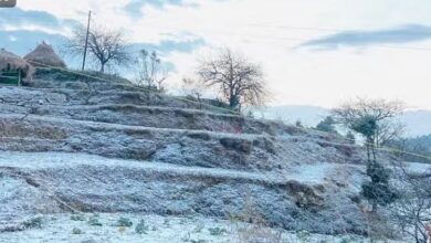 Photo of इंतजार खत्म…नैनीताल के इन इलाकों में सीजन की पहली बर्फबारी, खिले किसानों के चेहरे