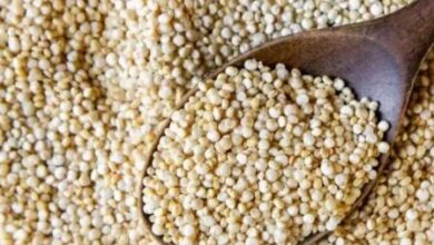 Photo of सेहत के लिए सुपरफूड से कम नहीं Quinoa