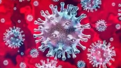 Photo of अब Norovirus का खतरा! ब्रिटेन के बाद इस देश में बढ़ रहे मामले