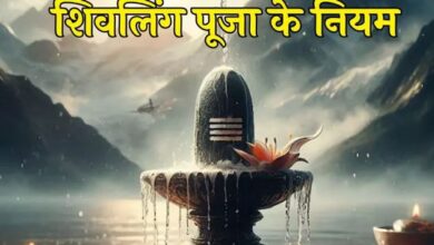 Photo of  घर में स्थापित करना चाहते हैं शिवलिंग, तो इन नियम का जरूर करें पालन