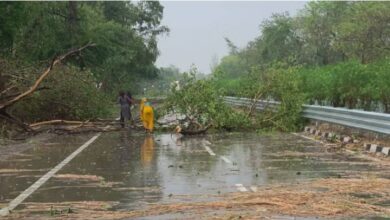 Photo of आज 46 जिलों में आंधी-बारिश के साथ वज्रपात का अलर्ट