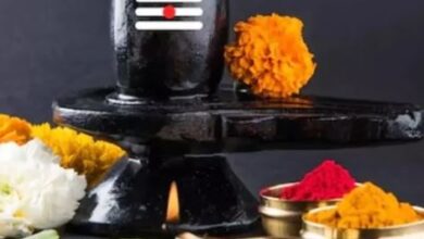 Photo of  गंगा दशहरा पर शिवलिंग पर इन खास वस्तुओं को चढ़ाने से मिलेगा मोक्ष