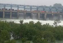 Photo of धान की बुआई नजदीक: पंजाब ने BBMB से मांगा 9 हजार क्यूसेक अतिरिक्त पानी