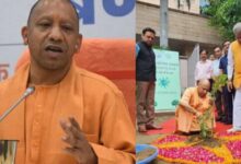 Photo of जुलाई में यूपी में लगेंगे 35 करोड़ पौधे, लखनऊ मंडल में लगेंगे सर्वाधिक चार करोड़ पौधे; सीएम योगी