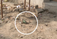 Photo of शराब के ठेके के पास मिला ग्रेनेड, फटा नहीं… गैंगस्टर्स की वायरल हुई पोस्ट से जागी पुलिस; बताया डमी