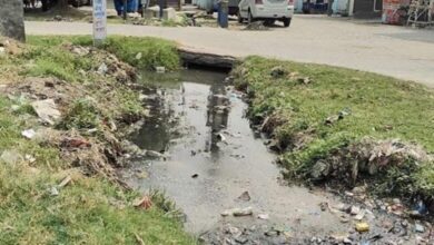 Photo of यमुनानगर में गंदे पानी से फैली बीमारी, बुखार के 78 संदिग्ध मामले आए सामने