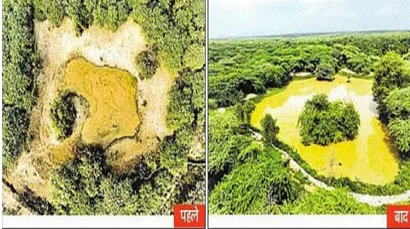 Photo of एक साल में 10 जल निकायों में पांच अरब लीटर से ज्यादा पानी का संचयन, एनजीटी को सौंपी रिपोर्ट