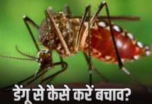Photo of मानसून में बढ़ जाता Dengue का खतरा, इन लक्षणों को न करें इग्‍नोर