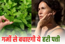 Photo of गर्मि‍यों में इन 5 तरीकों से डाइट में शाम‍िल करें ये हरी पत्ती