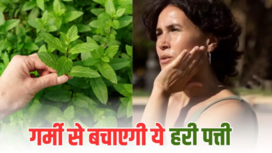 Photo of गर्मि‍यों में इन 5 तरीकों से डाइट में शाम‍िल करें ये हरी पत्ती