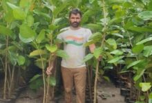 Photo of ट्री मैन का कमाल: पर्यावरण संरक्षण के लिए लगाए 26 ऑक्सीजन बाग…
