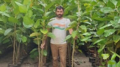 Photo of ट्री मैन का कमाल: पर्यावरण संरक्षण के लिए लगाए 26 ऑक्सीजन बाग…