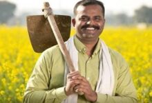 Photo of हरियाणा में किसानों की बल्ले-बल्ले!