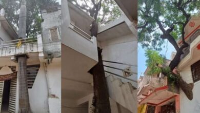 Photo of दमोह में ‘ग्रीन होम’ का ट्रेंड, पर्यावरण के लिए बदली जीवनशैली, पेश की अनोखी मिसाल
