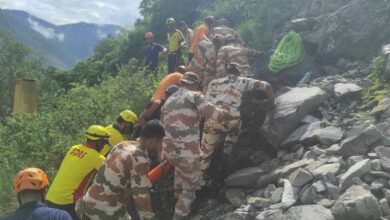 Photo of ऋषिकेश-बदरीनाथ हाईवे पर हादसा: टेंपो-ट्रेवलर नदी में गिरा, एक ही परिवार 17 लोग थे सवार, दो की मौत
