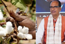 Photo of कपास संकट ने बढ़ाया कपड़ा उद्योग पर दबाव