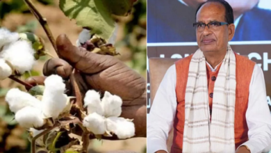 Photo of कपास संकट ने बढ़ाया कपड़ा उद्योग पर दबाव