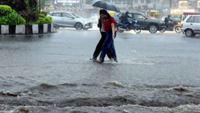 Photo of  राजस्थान में मानूसन फिर सक्रिय, 14 जुलाई तक मूसलाधार बारिश