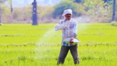 Photo of हरियाणा में ये किसान रडार पर, सरकार ने पकड़ा तो मिलेगी बड़ी सजा…