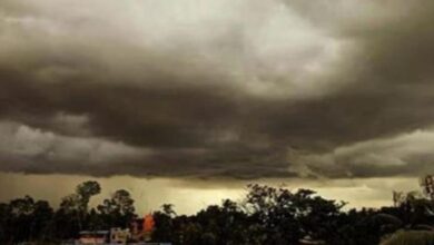 Photo of हरियाणा के 11 जिलों में बारिश का ऑरेंज अलर्ट