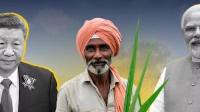 Photo of भारतीय किसानों को झटका देने चला था चीन, लेकिन भारत ने कर दिया चित