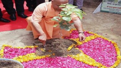 Photo of पौधरोपण महाभियान 2025; आज यूपी बनायेगा नया कीर्तिमान