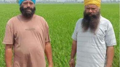 Photo of पंजाब के 2 किसान भाइयों ने कायम की मिसाल