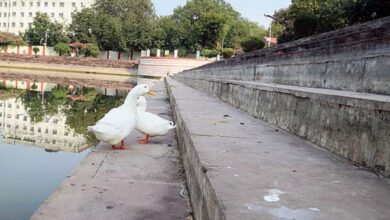 Photo of इंदौर: अन्नपूर्णा तालाब पर बनेगा सवा करोड़ का घाट