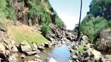 Photo of सिरोही: माउंट आबू के सालगांव बांध निर्माण को मिली मंजूरी