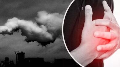 Photo of सि‍र्फ लंग्‍स ही नहीं, आपके दिल को भी बीमार कर रहा है Air Pollution
