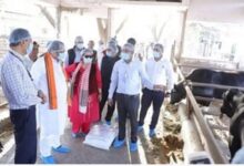 Photo of राजस्थान में पशुओं की नस्ल सुधार के लिए पहली लैब