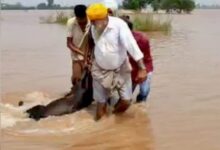 Photo of पंजाब: बाढ़ और बारिश से आफत, फिरोजपुर में घर की छत गिरी