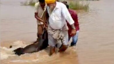 Photo of पंजाब: बाढ़ और बारिश से आफत, फिरोजपुर में घर की छत गिरी