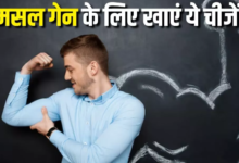 Photo of मसल्स बिल्डिंग के लिए खाना शुरू कर दें प्रोटीन से भरपूर ये 5 फूड्स