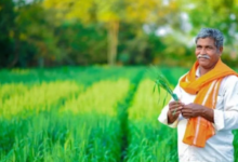 Photo of PM Kisan 21st Installment में देरी से बचने के लिए कर लें ये जरूरी काम