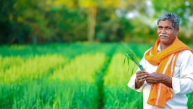Photo of PM Kisan 21st Installment में देरी से बचने के लिए कर लें ये जरूरी काम