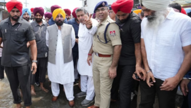 Photo of पंजाब में बाढ़: पठानकोट में यूबीडीसी नहर का फ्लड गेट टूटा, एक मुलाजिम बहा