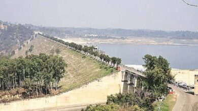 Photo of पौंग डैम में जलस्तर में वृद्धि: स्पिलवे से अतिरिक्त पानी छोड़े जाने की संभावना