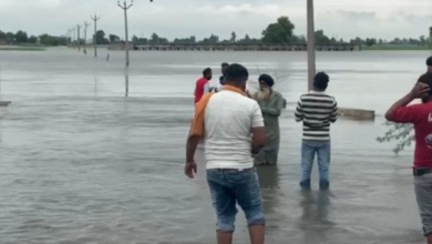 Photo of पंजाब पर कुदरत की मार: मान सरकार ने बनाई फ्लड मैनेजमेंट कमेटी