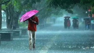 Photo of हरियाणा में लगातार 3 दिन बारिश, IMD ने जारी की चेतावनी!