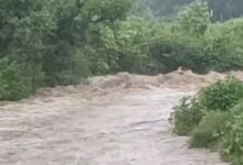 Photo of पहाड़ों में आज भी भारी बारिश की चेतावनी, स्कूल बंद का आदेश पहुंचा नहीं, लौटे बच्चे